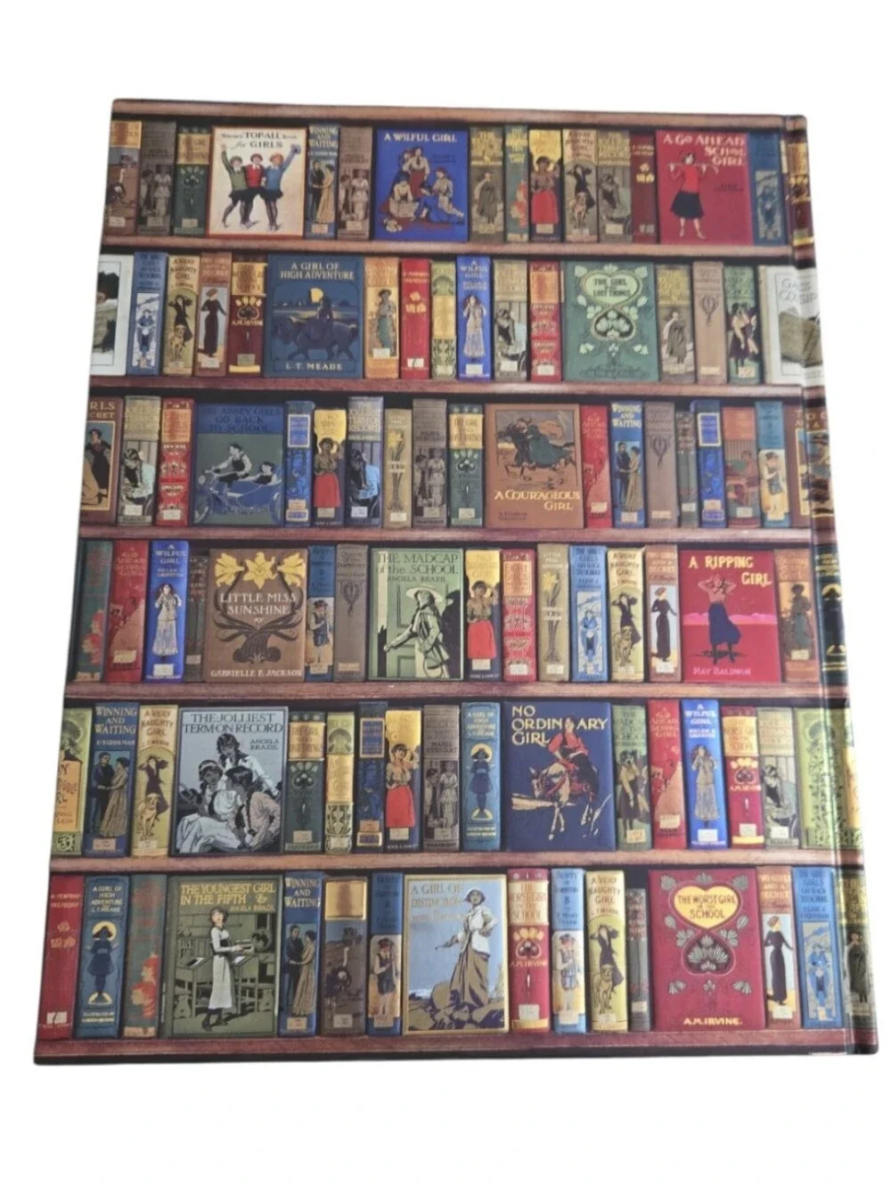 NEW Flame Tree Bodleian Libraries: High Jinks Bookshelves Blank Sketch Book
